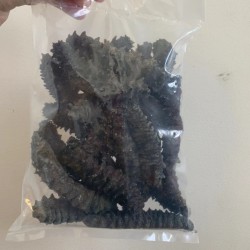 南太平洋野生刺参 正品海参干货 30-40头左右 500g