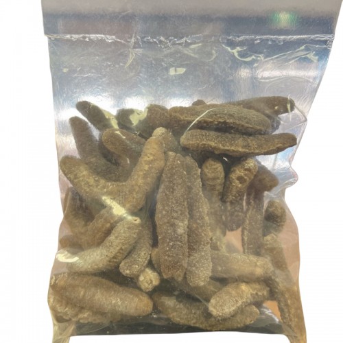 澳洲海参 金沙参 金刺 500g  40-50头